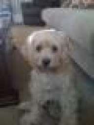 Internet Retailer Guy 12