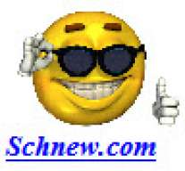 Schnew.com