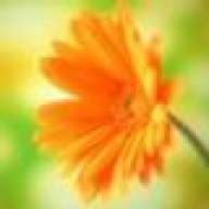 PassionateFlowerGirl