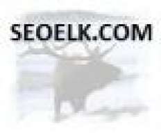 seoelk.com