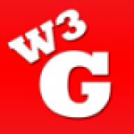 W3Geek