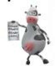 tradingotoo