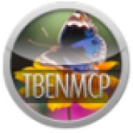 tbenmcp