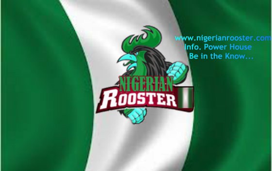 Nigerian Rooster