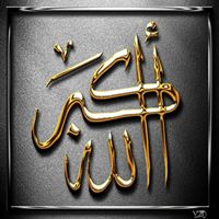shehabmedhat