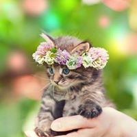 Shiddika Jahan Bushra