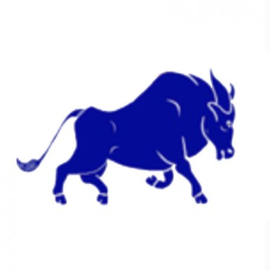 Blue Tamaraw