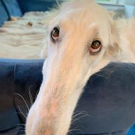 TheWorldMostHatedMarketer