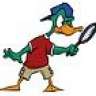 Sherduck