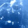 SeaHunter