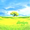Hatori