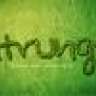 itrungs