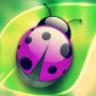 Ladybugz