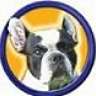 Bouledogue
