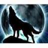 Wolfy