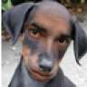 itildo