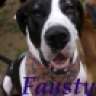 Fausty
