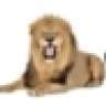 lionslinger