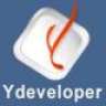 ydeveloperseo