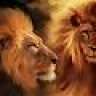 Mandeep