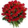 wafa123