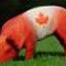 Canadianbacon