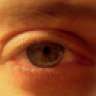HypnoScribe