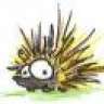 porcupine