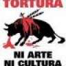 bull.fighter
