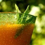 juicelover