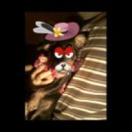 viktoriahannah