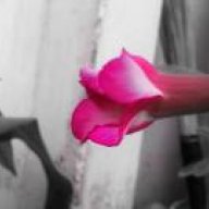 hello_usamakhalid