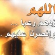 Amr Olabi