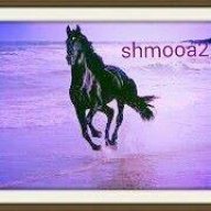 shmooa2