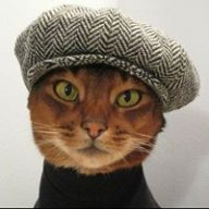 CataDaniels