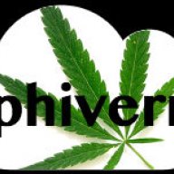 highphiverr