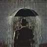 the_rain_man