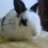 joss_08