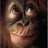 AnnoyedMonkey