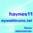 haynes11