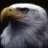LittleWing