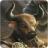 Minotaur