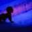 imran_07
