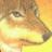 laughingcoyote