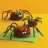 spiderspider
