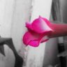 hello_usamakhalid