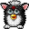 mukflash