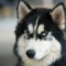 Dottore