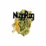 Nuggplug.com