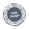 BigNet Design